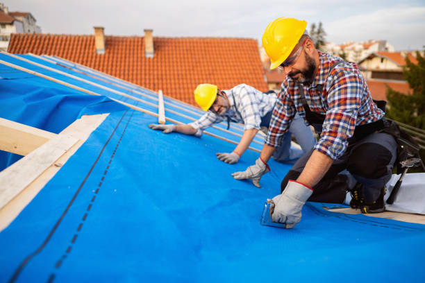 Best Roof Waterproofing  in Burton, MI