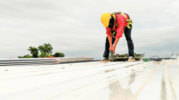 Best Roof Maintenance and Cleaning  in Burton, MI
