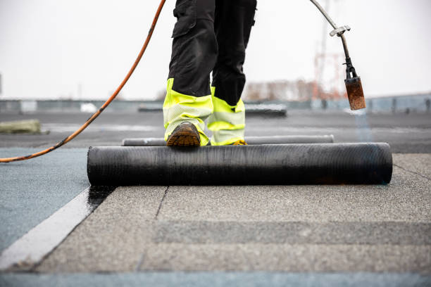 Best Roof Insulation Installation  in Burton, MI