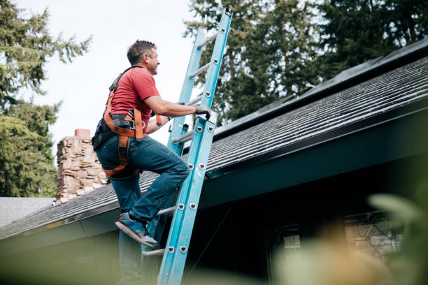 Best Rubber Roofing (EPDM, TPO)  in Burton, MI