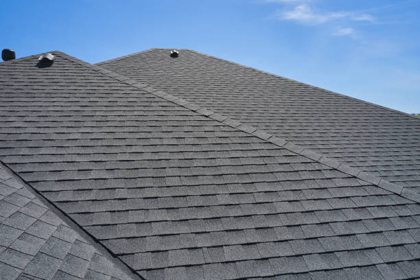 Best Asphalt Shingle Roofing  in Burton, MI
