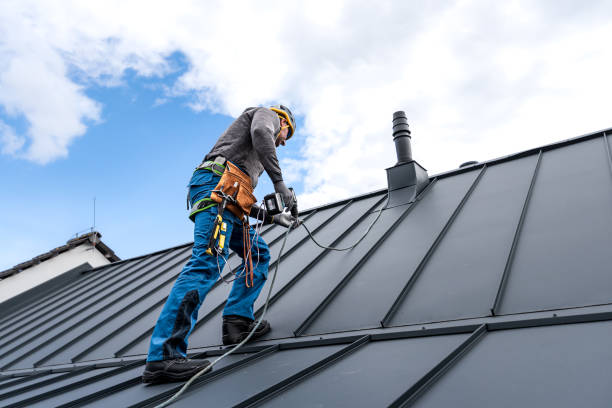Best Skylight Installation and Repair  in Burton, MI