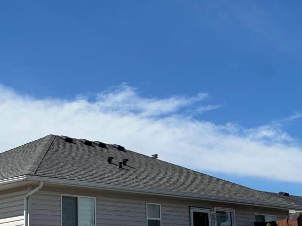 Best Asphalt Shingles Roofing  in Burton, MI